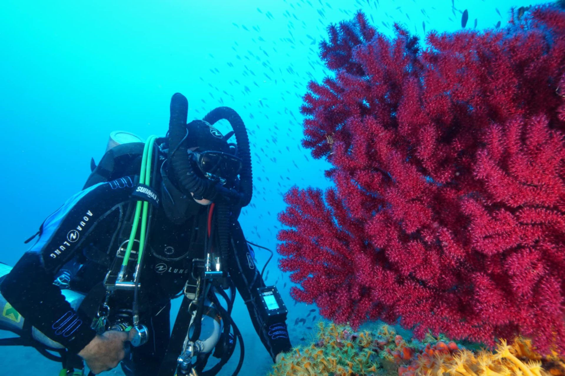 Cap d'Antibes — spot de plongée Normoxic sur la Côte d'Azur
